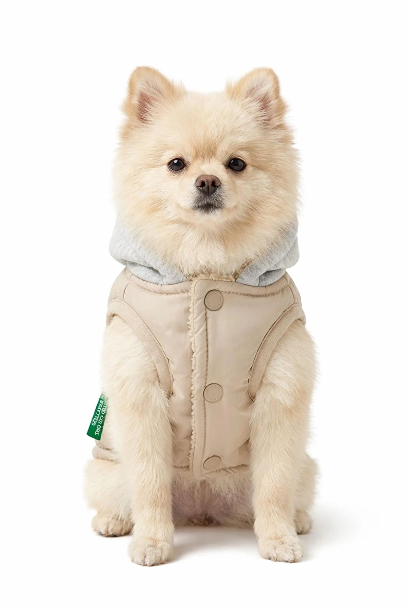 United Colors of Benetton Köpek Kıyafeti Yağmurluk Yelek Bej - L