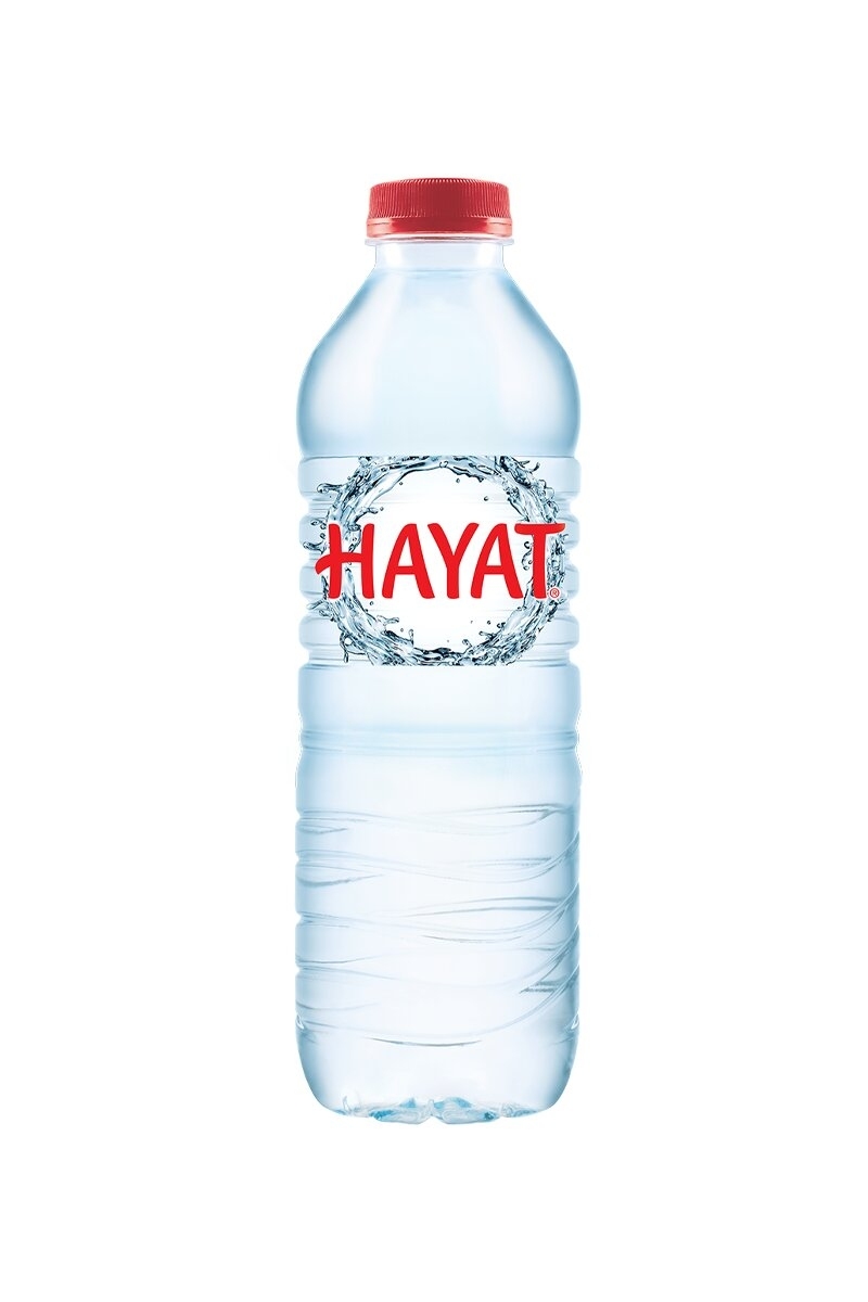 Hayat Su 0.5 l