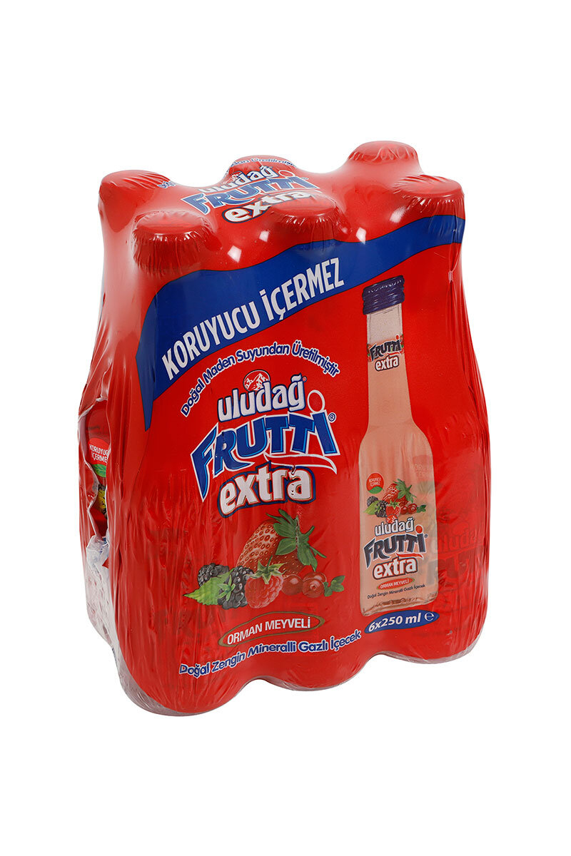 Uludağ Frutti Extra Orman Meyveli Gazlı İçecek 6X250 ml