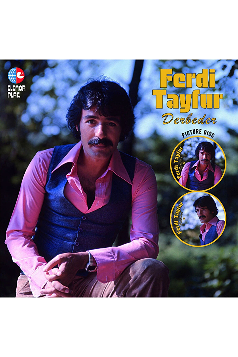 Ferdi Tayfur - Derbeder - Plak
