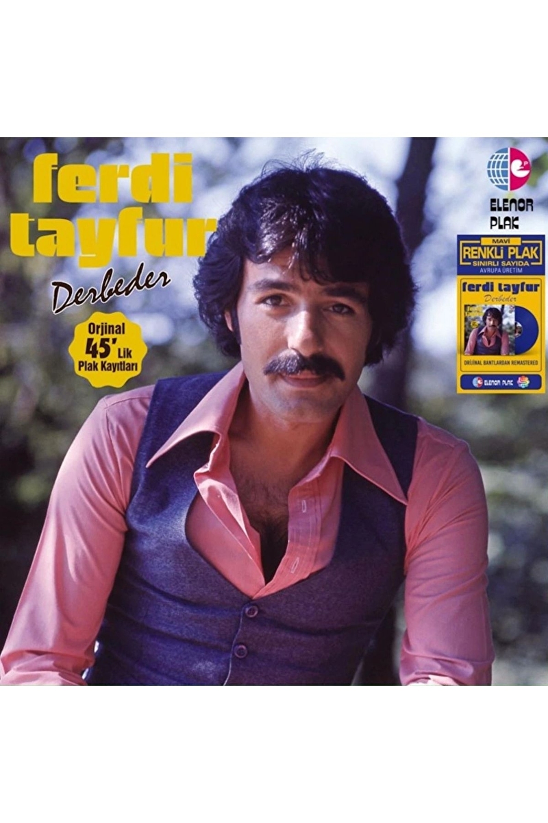 Ferdi Tayfur - Derbeder - Plak