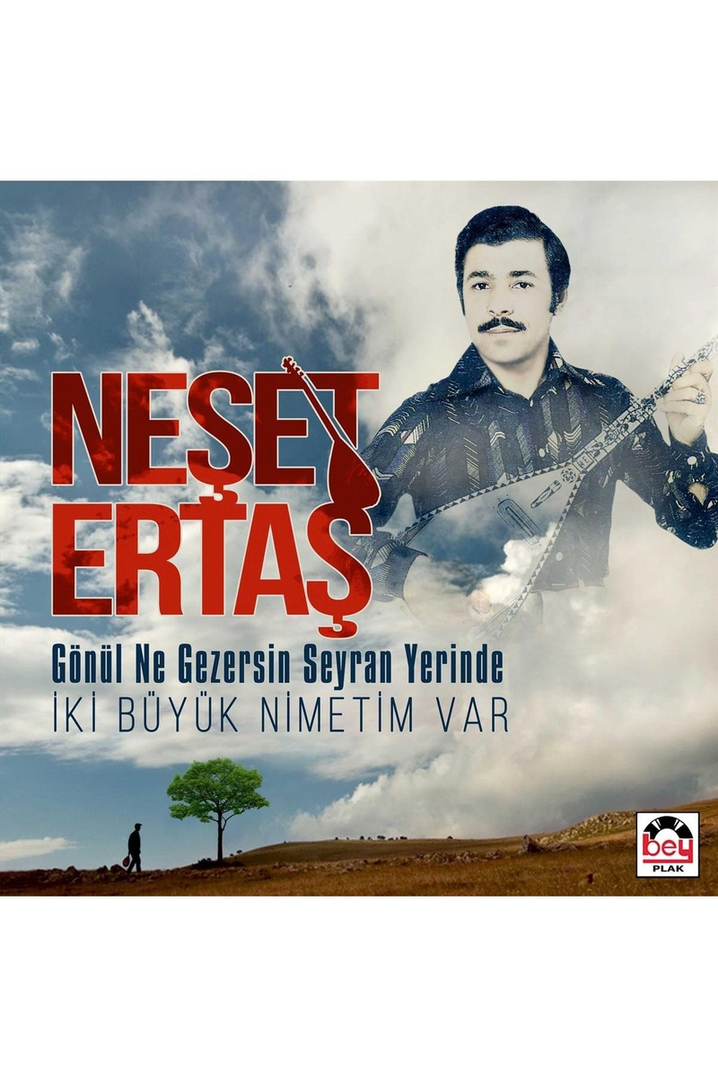 Neşet Ertaş Gönül Ne Gezersin Seyran Yerinde (Plak)