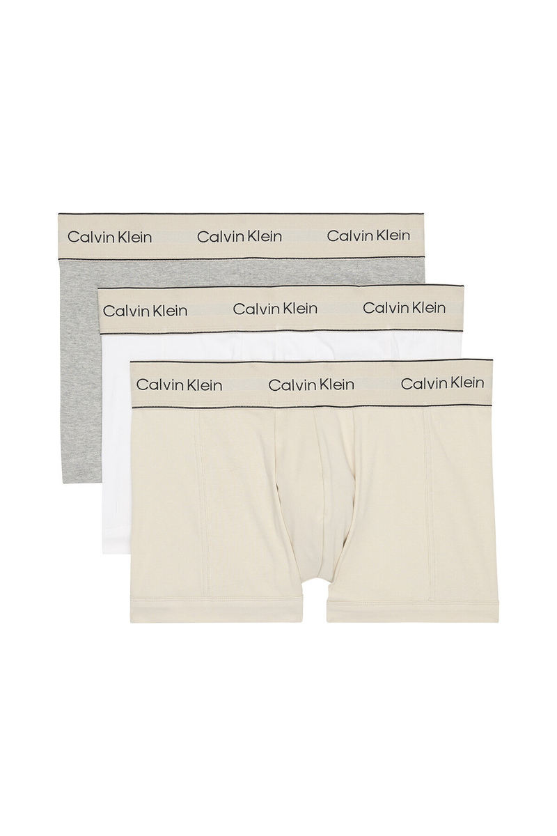 Calvin Klein Erkek 3'lü Boxer LV00NB44462XK