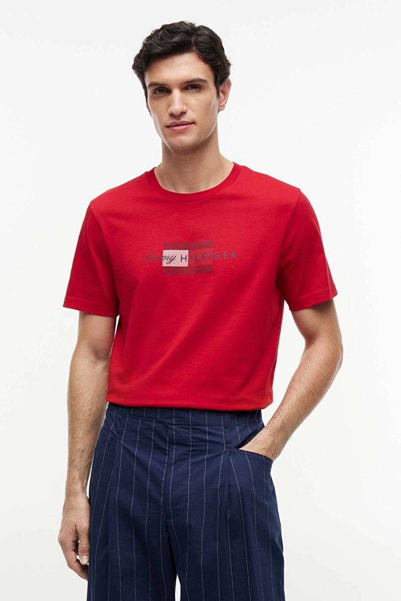 Tommy Hilfiger Erkek Tişört MW0MW43226