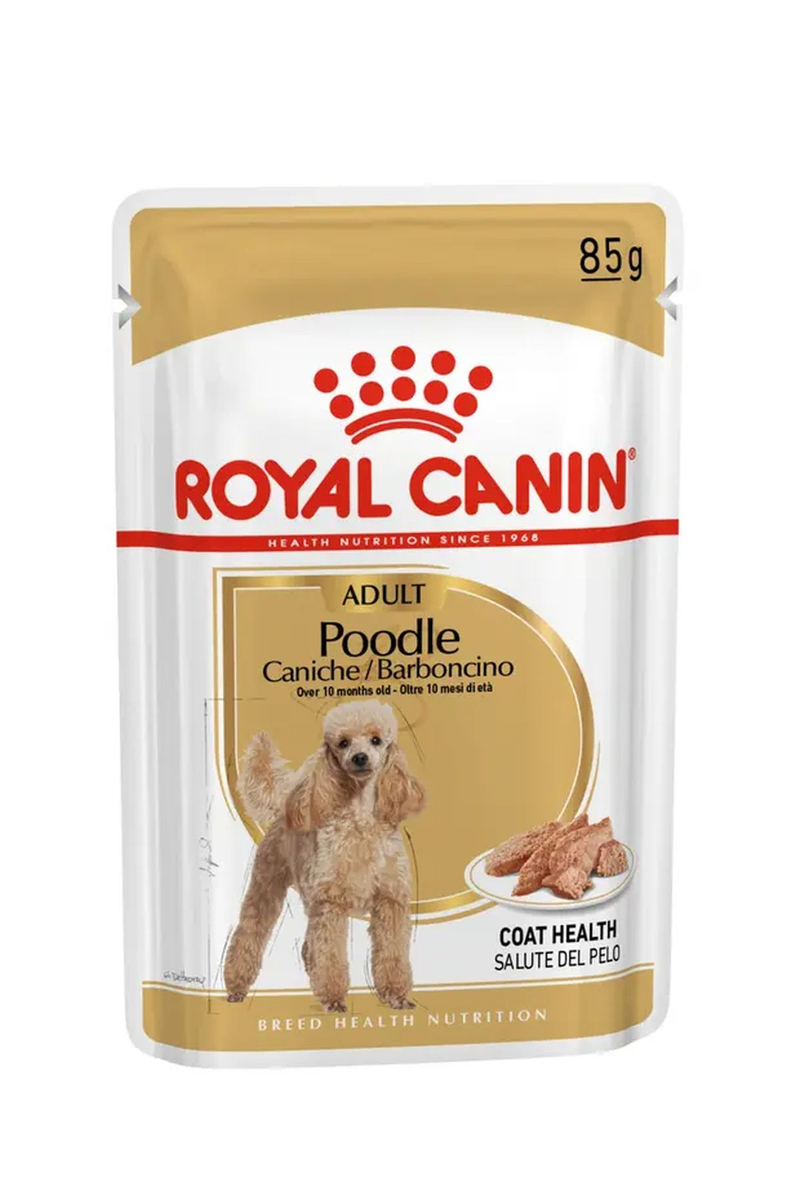 Royal Canin Poodle Yaş Köpek Maması 12x85g