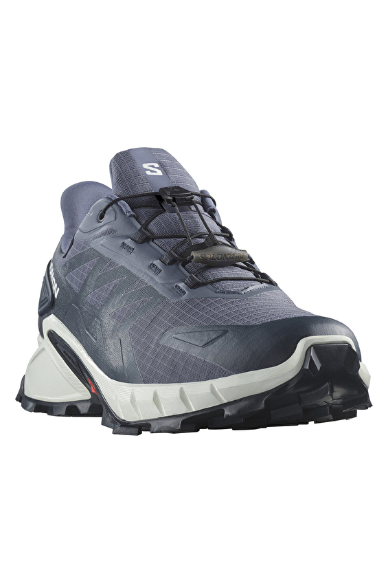 Salomon Gri Salomon Supercross 4 Erkek Gore Tex Ayakkabı L47462300 4540