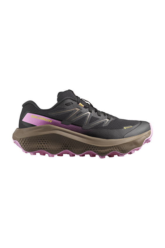 Salomon Ultra Flow 2 Gore-Tex Kadın Ayakkabı L47884400 4036 Siyah Salomon Ultra Flow 2 Gore-Tex Kadın Ayakkabı L47884400 4036 Siyah