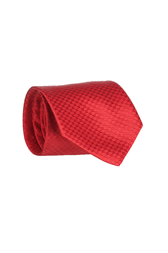 Edi Erkek Kravat 24K VR 54 Renkli