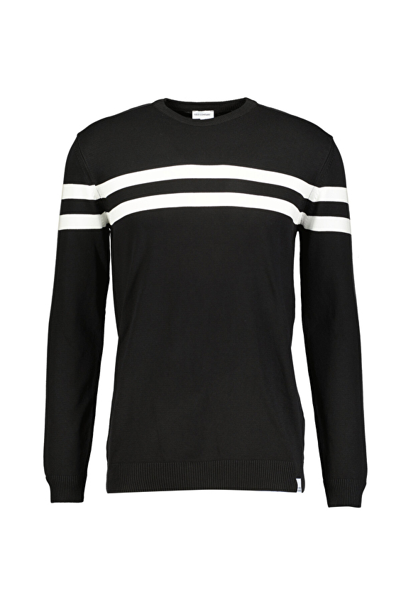 First Company Regular Fit Bisiklet Yaka Erkek Kazak 2520109041 Siyah First Company Regular Fit Bisiklet Yaka Erkek Kazak 2520109041 Siyah