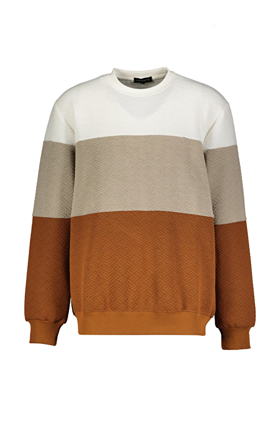 Finesuits Regular Fit Bisiklet Yaka Erkek Kapitone Sweatshirt 252209006 KAPOYR Kiremit Finesuits Regular Fit Bisiklet Yaka Erkek Kapitone Sweatshirt 252209006 KAPOYR Kiremit