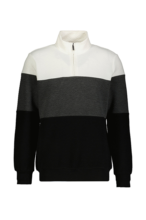 Finesuits Regular Fit Fermuarlı Yarım Balıkçı Yaka Erkek Kapitone Sweatshirt 252209007 KAPFYBR Siyah Finesuits Regular Fit Fermuarlı Yarım Balıkçı Yaka Erkek Kapitone Sweatshirt 252209007 KAPFYBR Siyah