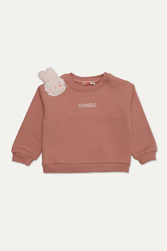 Funfair Regular Fit Bisiklet Yaka 3 İplik Şardonlu Kız Çocuk Sweatshirt 2526325011 1315 Açık kahverengi Funfair Regular Fit Bisiklet Yaka 3 İplik Şardonlu Kız Çocuk Sweatshirt 2526325011 1315 Açık kahverengi