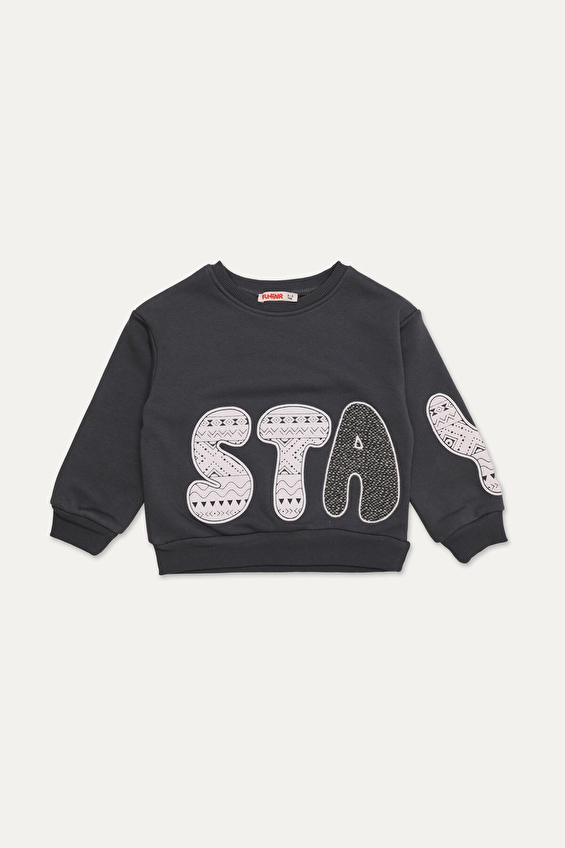 Funfair Regular Fit Bisiklet Yaka 3 İplik Şardonlu Erkek Çocuk Sweatshirt 2526207014 365 Antrasit Funfair Regular Fit Bisiklet Yaka 3 İplik Şardonlu Erkek Çocuk Sweatshirt 2526207014 365 Antrasit