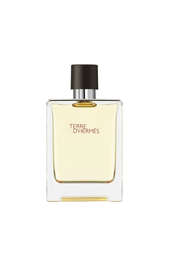 Hermes Terre D'Hermes Edt Man 100 ml Hermes Terre D'Hermes Edt Man 100 ml