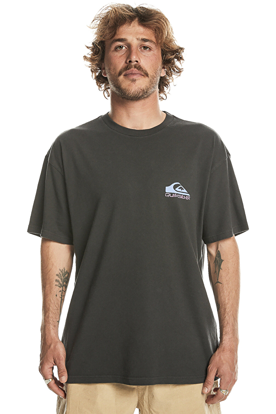 Quiksilver Erkek Tişört EQYZT07654 12814 Gri Quiksilver Erkek Tişört EQYZT07654 12814 Gri