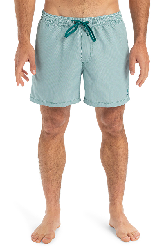 Quiksilver Erkek Mayo Şort EQYJV04101 YSL Yeşil