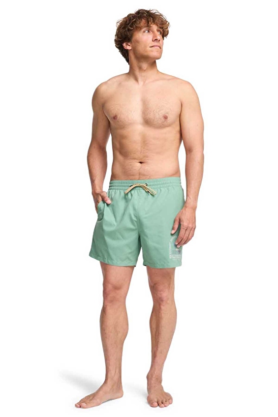 Billabong Erkek Mayo Şort EBYJV00162 GGV0 Yeşil Billabong Erkek Mayo Şort EBYJV00162 GGV0 Yeşil