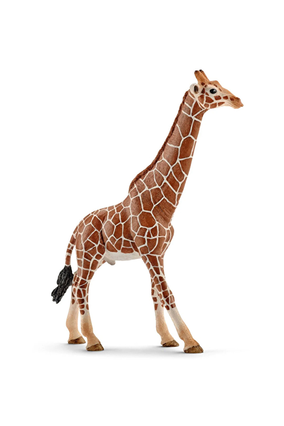 Schleich Erkek Zürafa 14749