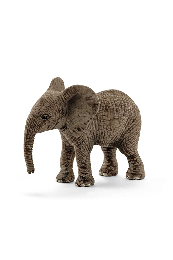 Schleich Yavru Afrika Fili 14763