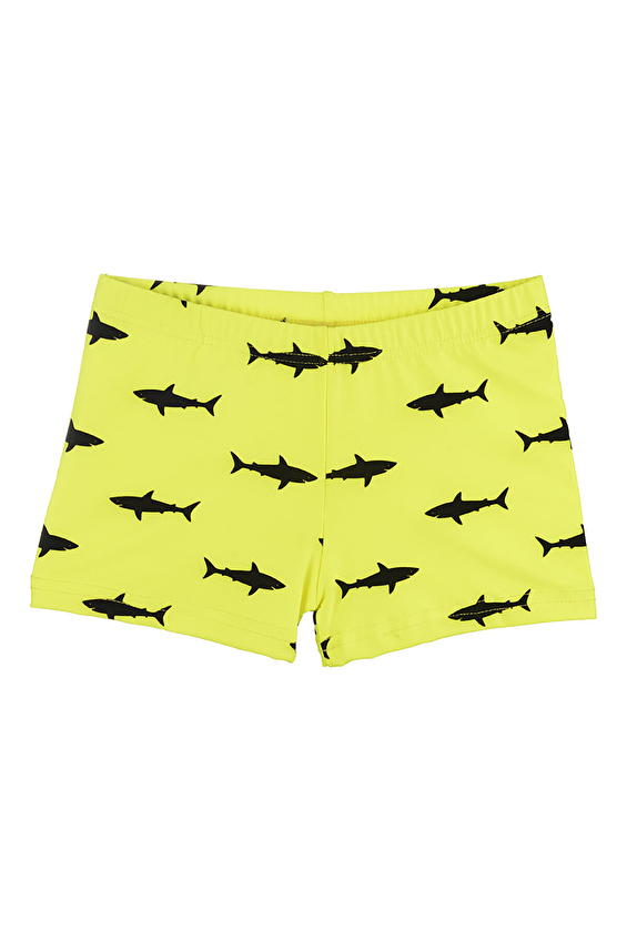 Slipstop Erkek Çocuk Slip Mayo Şort PACK TRUNK Renkli Slipstop Erkek Çocuk Slip Mayo Şort PACK TRUNK Renkli