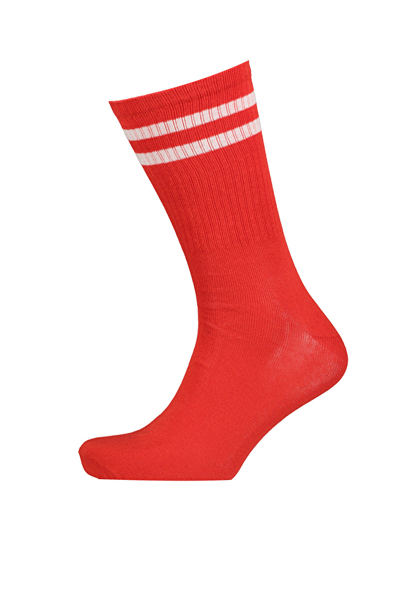Bad Bear Erkek Çorap BENCH TALL Kırmızı