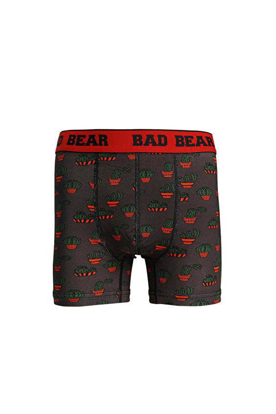 Bad Bear Erkek Boxer Cactus Renkli