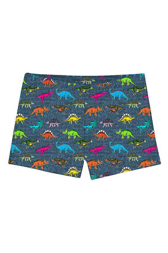 Slipstop Erkek Çocuk Slip Mayo Şort TEXAS TRUNK Renkli