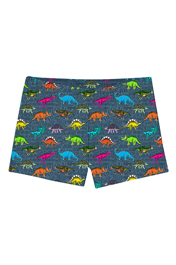 Slipstop Erkek Çocuk Slip Mayo Şort TEXAS TRUNK Renkli