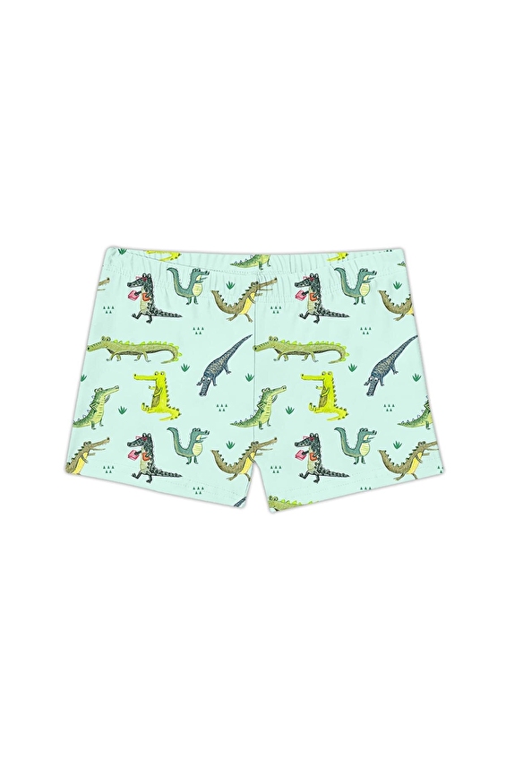 Slipstop Erkek Çocuk Slip Mayo Şort ZAGOR TRUNK Renkli