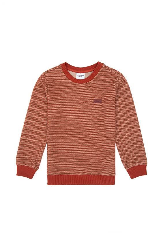 U.S. Polo Assn. Erkek Çocuk Sweatshirt 1946344 VR031 Kırmızı U.S. Polo Assn. Erkek Çocuk Sweatshirt 1946344 VR031 Kırmızı