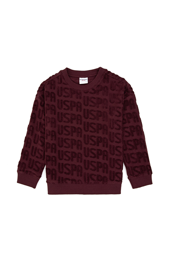 U.S. Polo Assn. Erkek Çocuk Sweatshirt 2235943 U.S. Polo Assn. Erkek Çocuk Sweatshirt 2235943