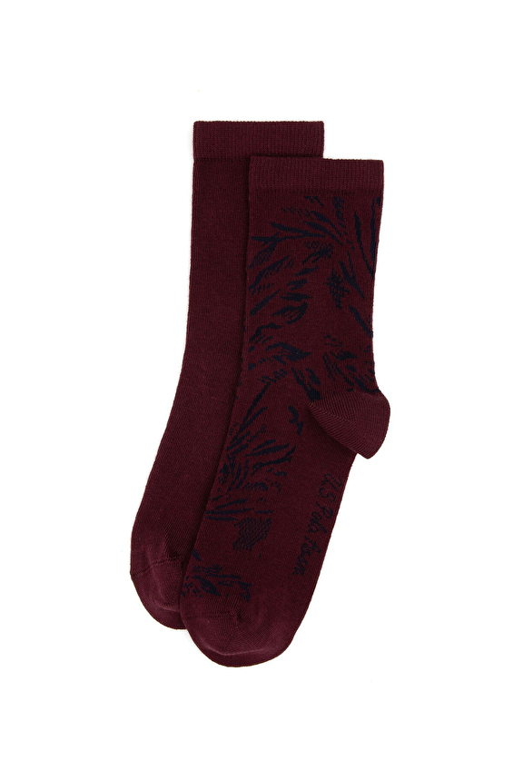 U.S. Polo Assn. Kadın 2'li Çorap EMMIC BRD Bordo U.S. Polo Assn. Kadın 2'li Çorap EMMIC BRD Bordo