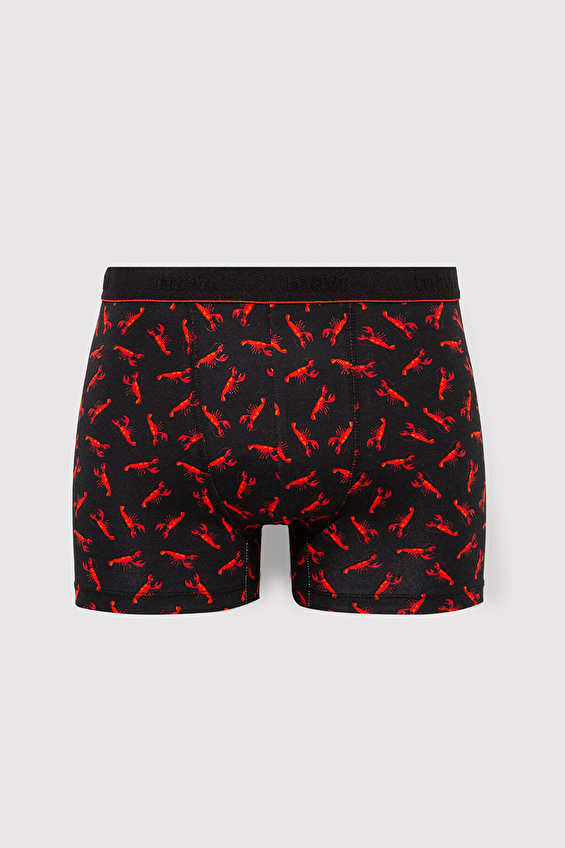 Mavi Regular Fit Erkek Boxer M0911307 900 Siyah Mavi Regular Fit Erkek Boxer M0911307 900 Siyah