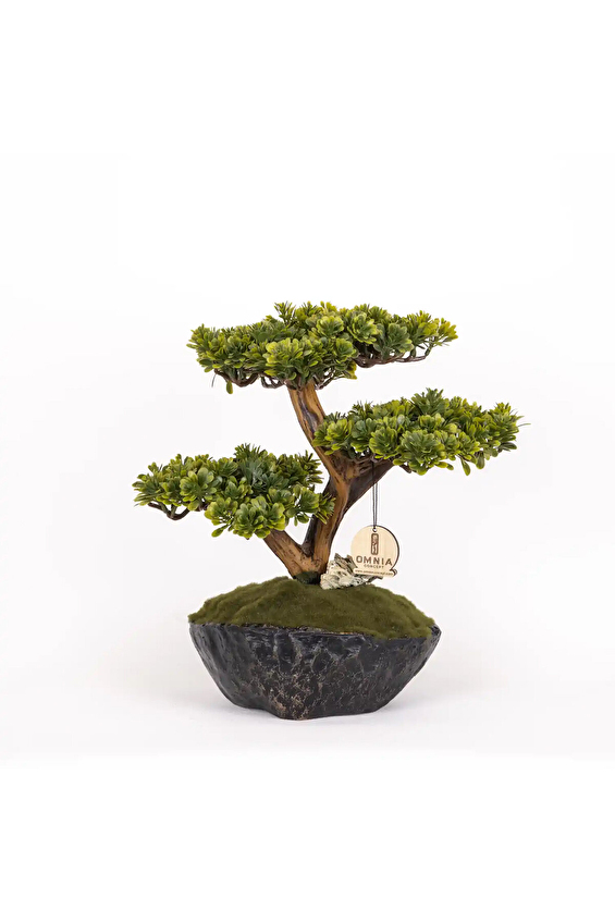 Omnia Calipso Bonsai CLPSBNS005