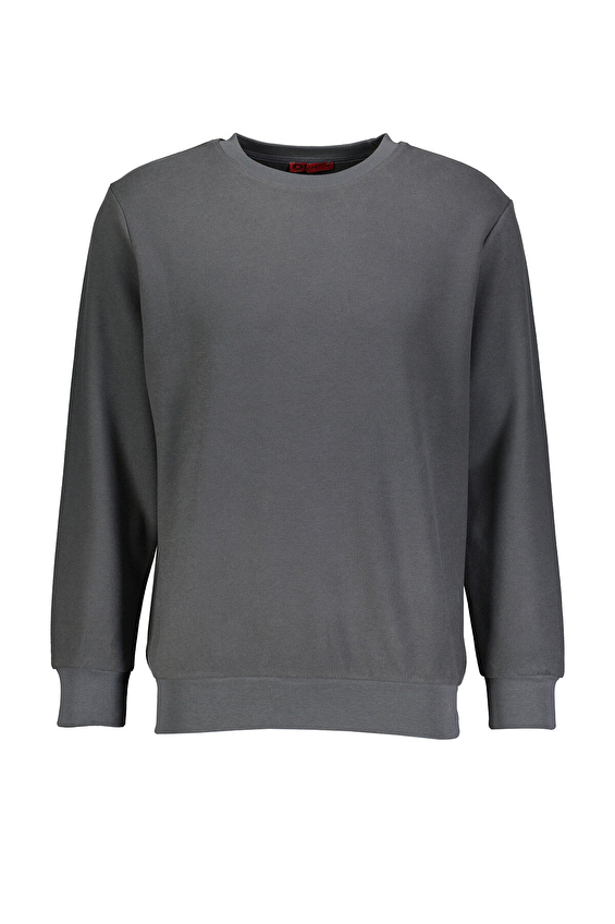 Diandor Regular Fit Erkek Sweatshirt 2425201 Antrasit Diandor Regular Fit Erkek Sweatshirt 2425201 Antrasit