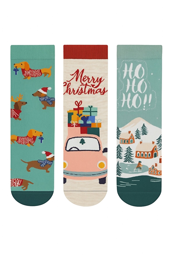 Katia&Bony Erkek Soket Çorap 22501U4002 RNK Renkli