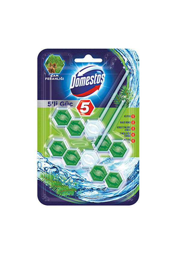 Domestos Wc Temizleyici Blok 2x5'li Güç Çam Ferahlığı