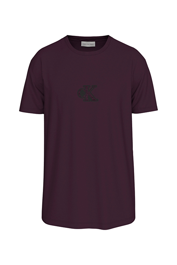 Calvin Klein Jeans Erkek Tişört LV04RD253G Lila/mor Calvin Klein Jeans Erkek Tişört LV04RD253G Lila/mor